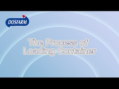 กระบวนการส่งที่มาตรฐานอย่างเข้มงวด